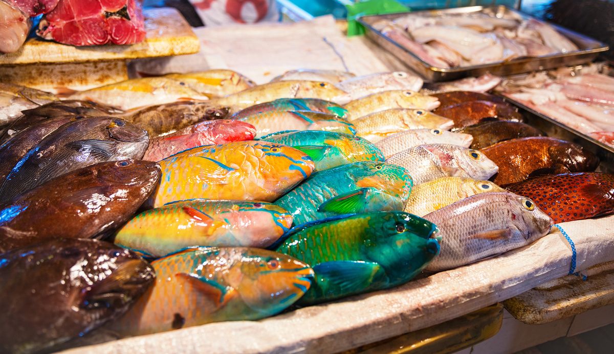 ��� ������� ��������� ����: ������� �� �������������� ��� ��������