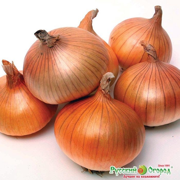 ��� ���������� ��������, ������� �� ����� ������� � ������������