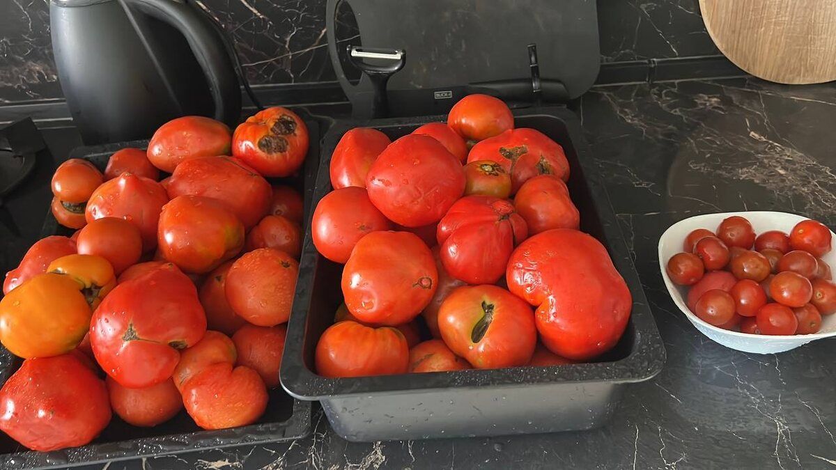 ��� ����� ����������� �������� ��� �� ����