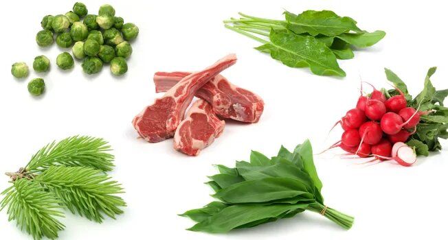 ��� ���� � ������