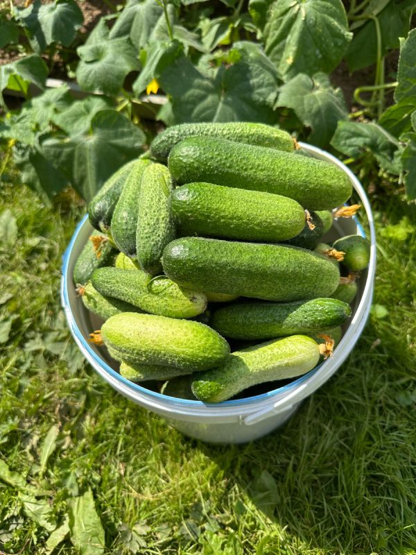 ������������ ������ � ������� ����������: ��������� ������ �� ��������� ������