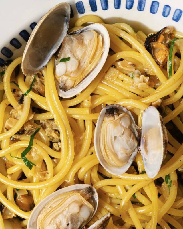 ����������� ������������ � ���������� Novikov Group