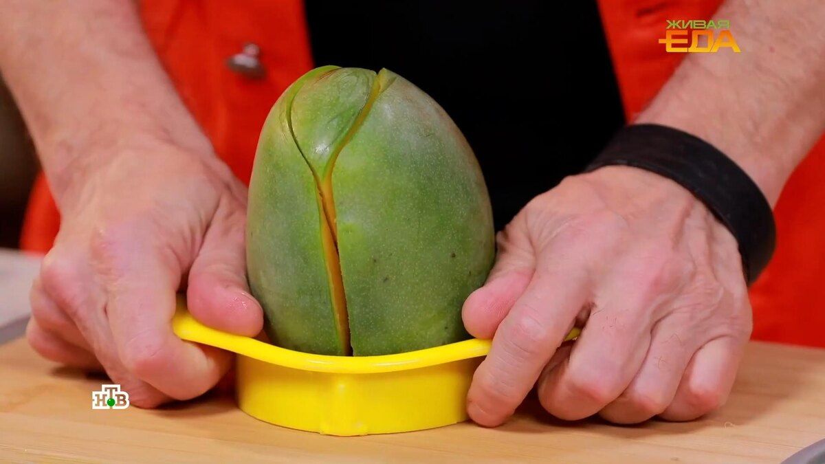 ������ ������� � ������� �����: �������� ��������