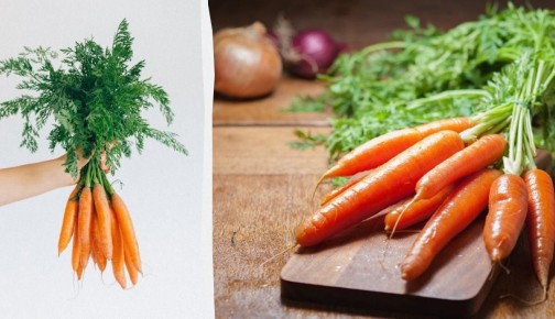 ���� ������� ������ ��������� ������� ������ ������ ������ ����