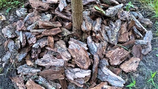 ����� ������ � ������ � ���������: ��� ������� ���� �������� ��������� � ������