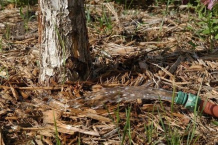 ����� � ����: ������� �������� ���������� � ����