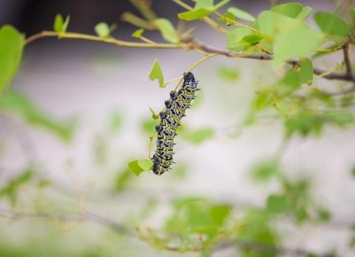 ��� ���������� � ���������� ������� � ����