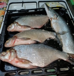 Как вкусно закоптить леща: пошаговое руководство