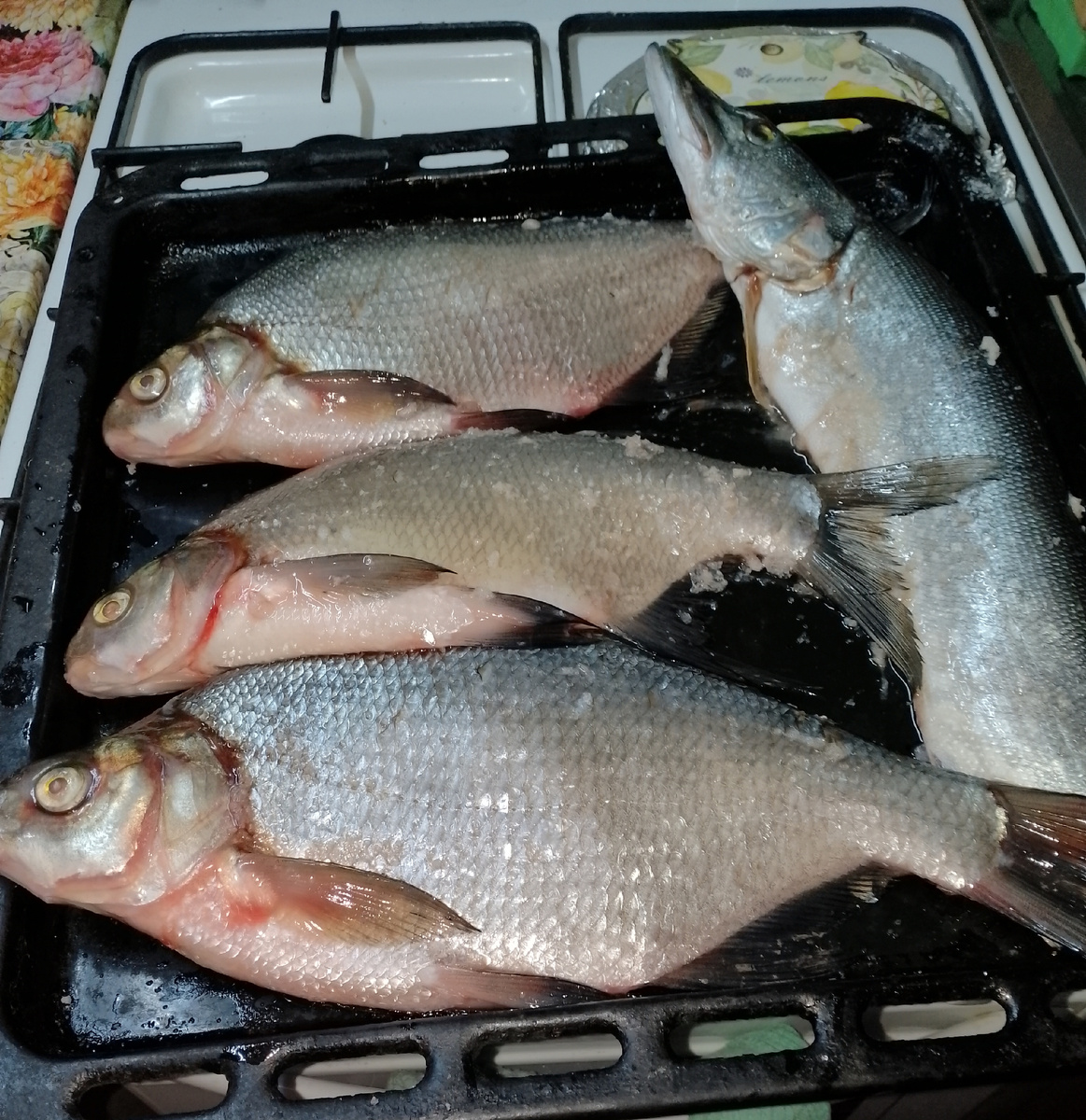 Как вкусно закоптить леща: пошаговое руководство