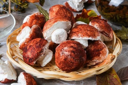 �������� ����� "��������": �������� � �������������� �� ����� �����