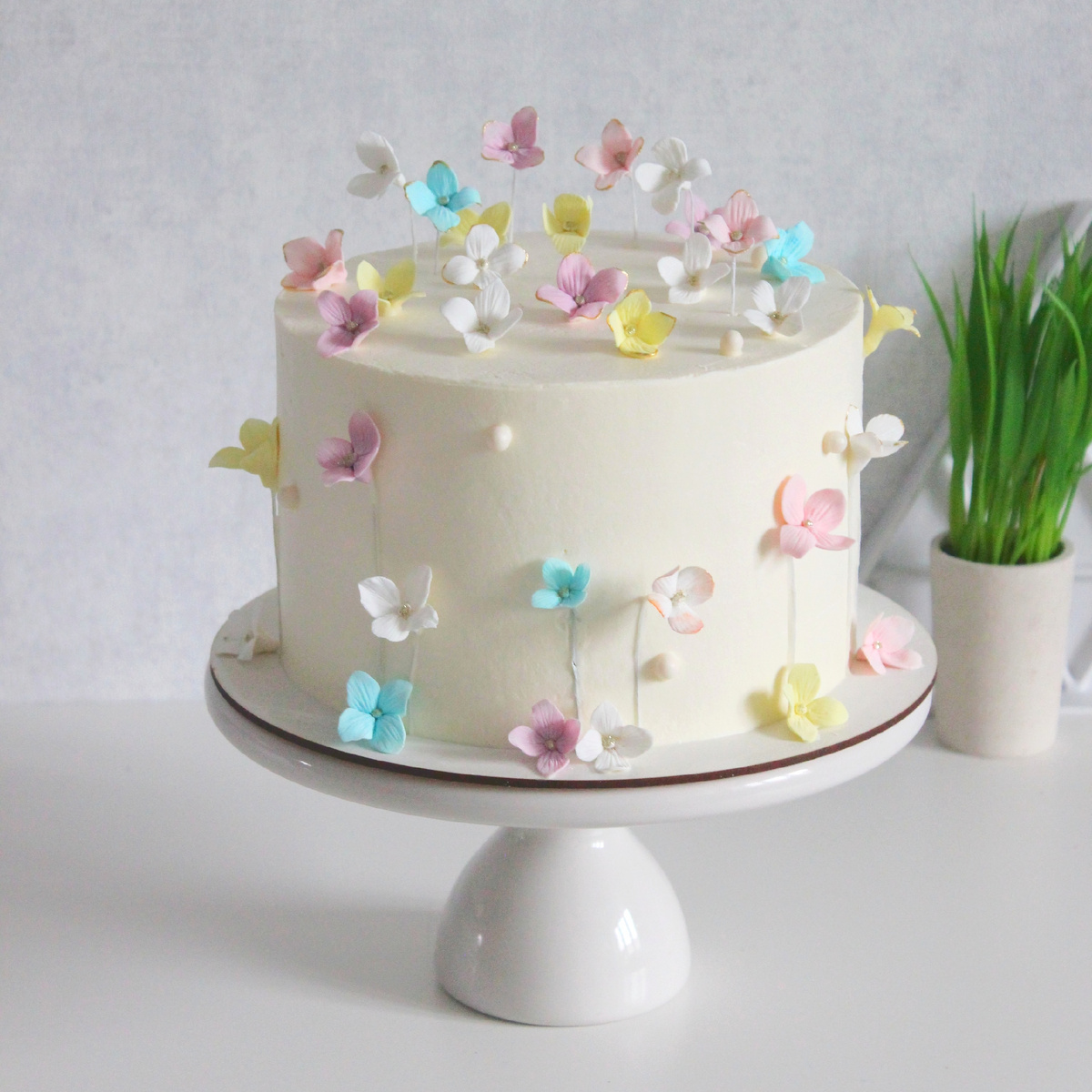 Как кондитерам привлечь первых заказчиков: полезные советы