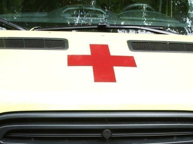 Сколько мандаринов можно есть в день: советы нутрициолога