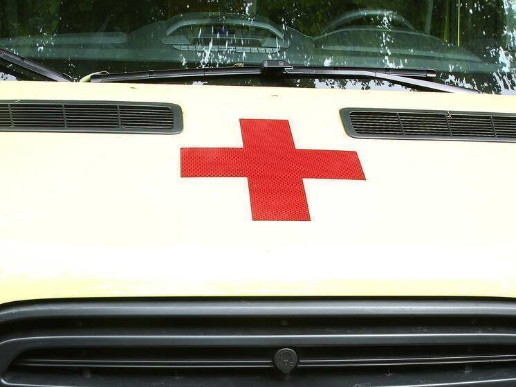 Сколько мандаринов можно есть в день: советы нутрициолога