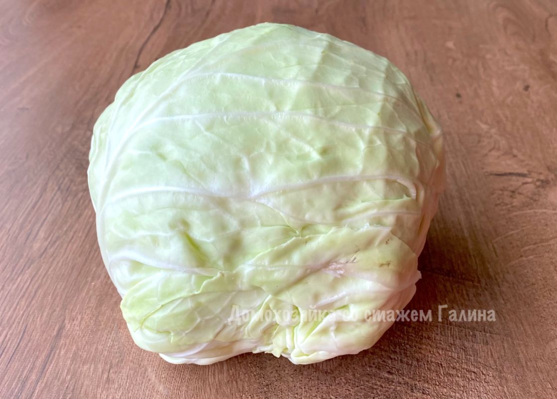 ������ ��������: ������� �� �������, ������� ������ ���