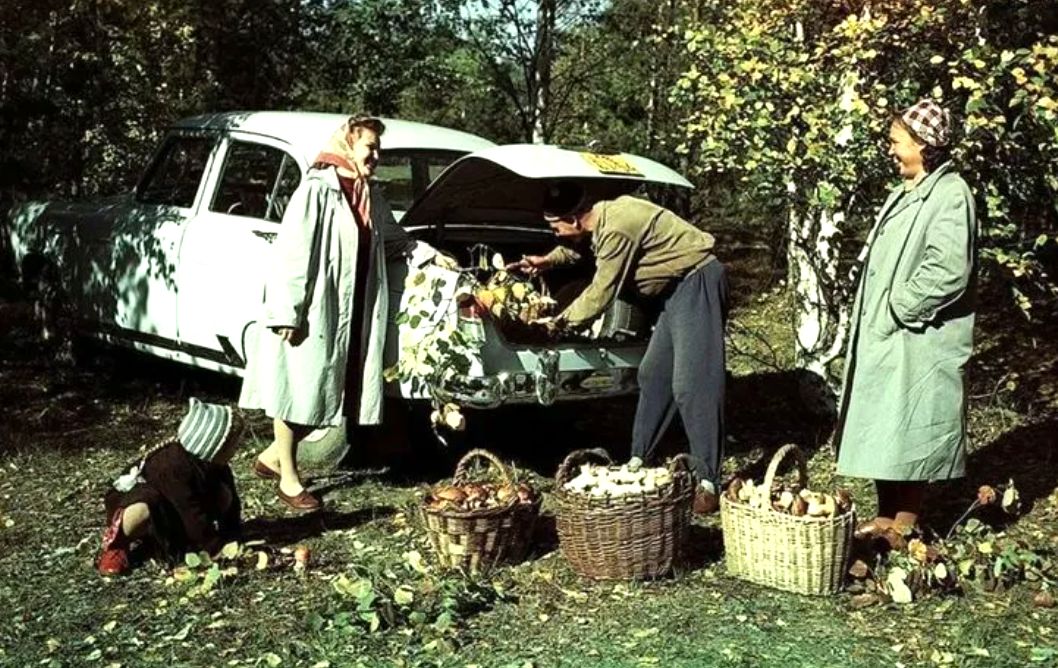 Грибная охота в СССР: ностальгия по тихой охоте