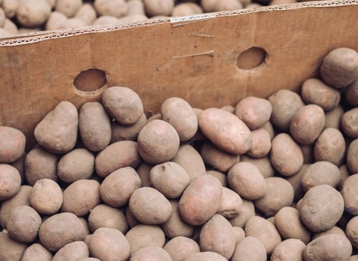 Как сохранить овощи свежими до весны: советы от экспертов