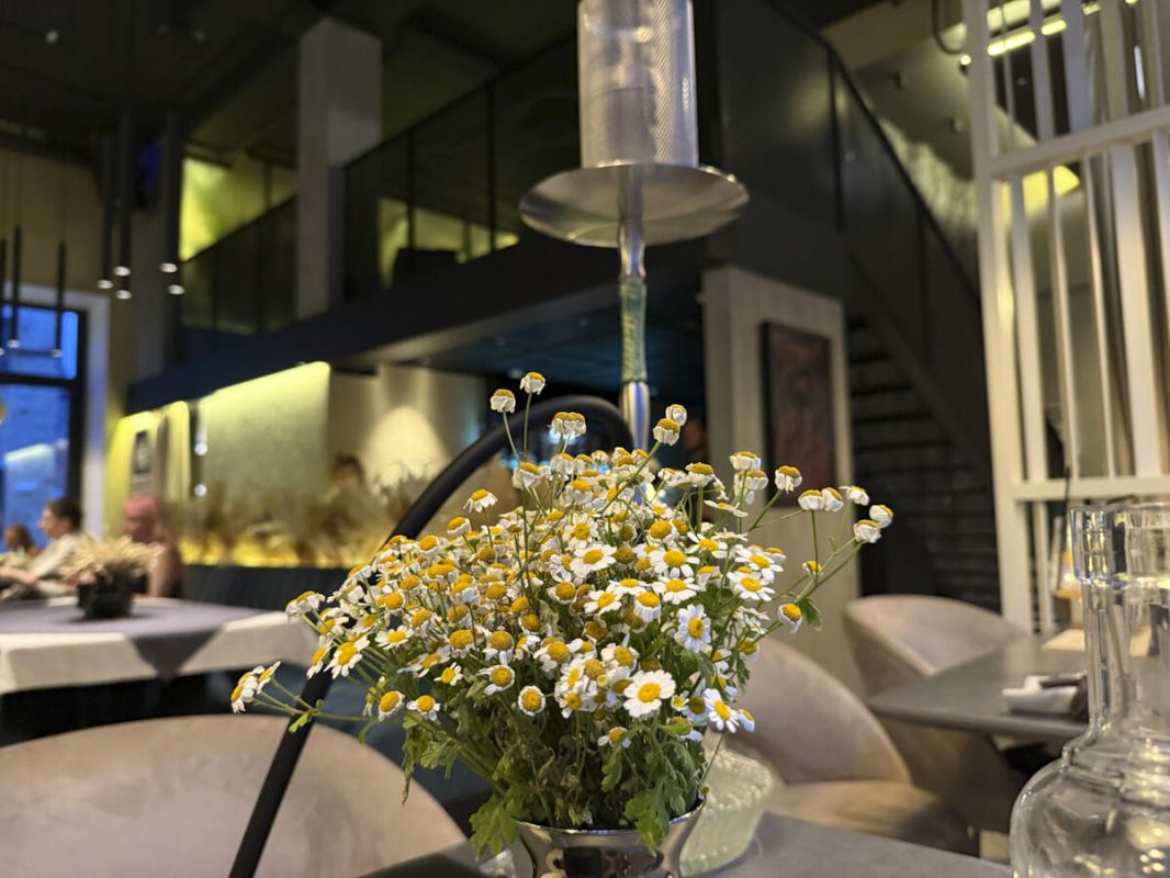 ����� �������� ����������� ����� � ��������: ��� ����� �����������