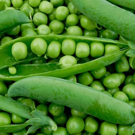 ������ ����� ������ ��� �����: ������ �� ������