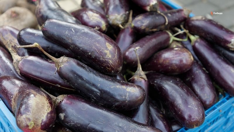 ��� ��������� ������� �����: ������ �������� �� ���������� ��������