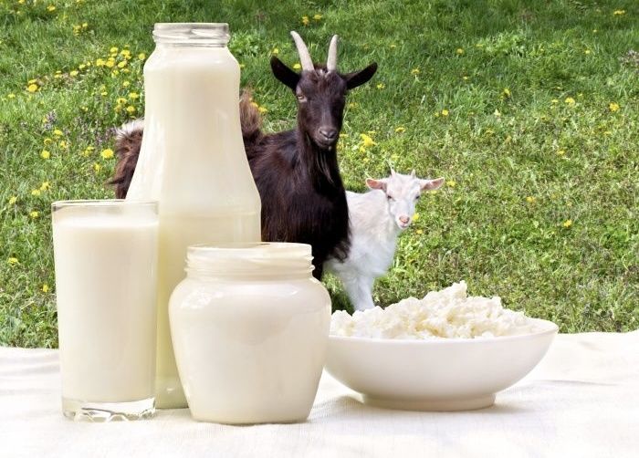 ����� ������: ������������� ������� ��� ������� ������?