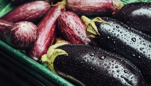 Сезон баклажанов: 10 потрясающих рецептов для вашего стола