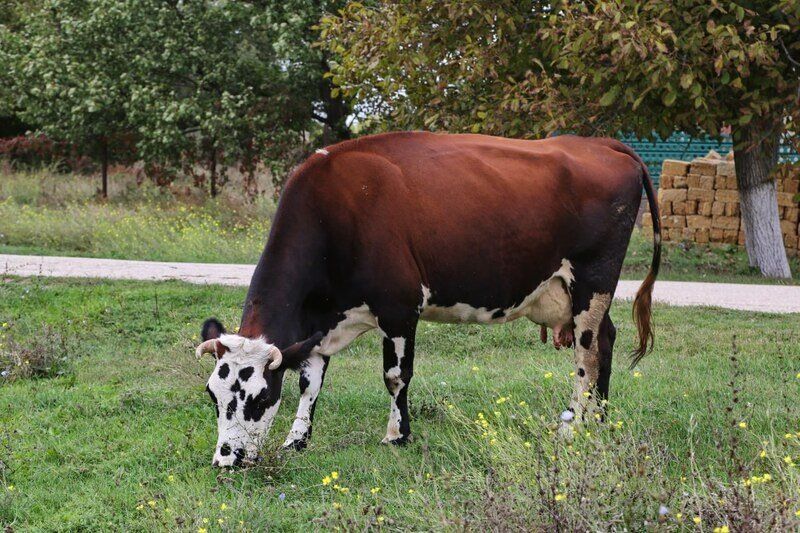 ������ ��������� �������� ����� ��� ���? ���������� ��������