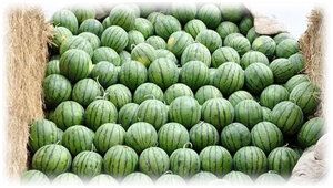 ��� ��������� ����� �� ����: ������ � ��������