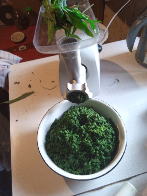 ����-���: ����� ��������� �������