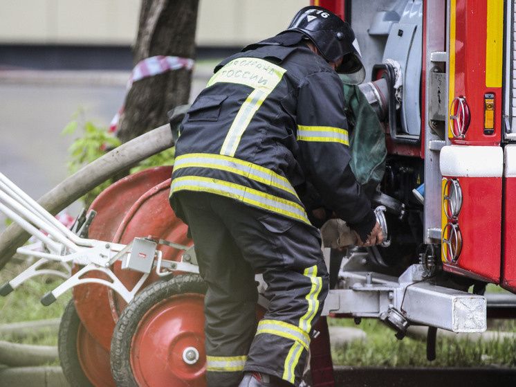 �������� �� �����: ����� ���������� ����� ����������