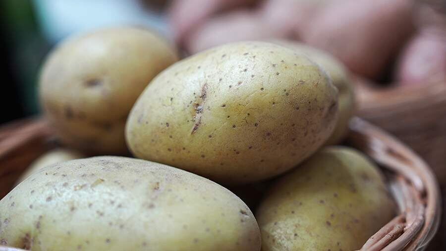 � ������� ������ ���������� ������� ��������� ��-�� ���������� ������