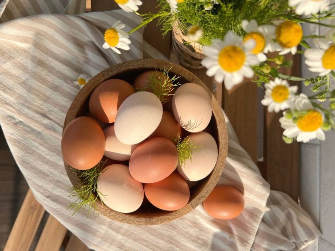 ��� ������� ���� ���, ����� �������� ��������� ��� �������