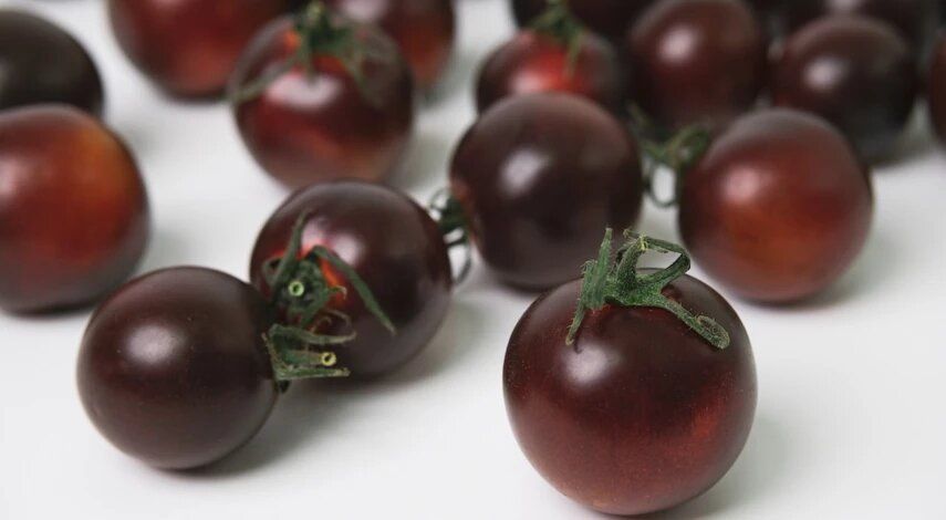 ������� ������: 16 ������, ������� ����� �������� ���� ������