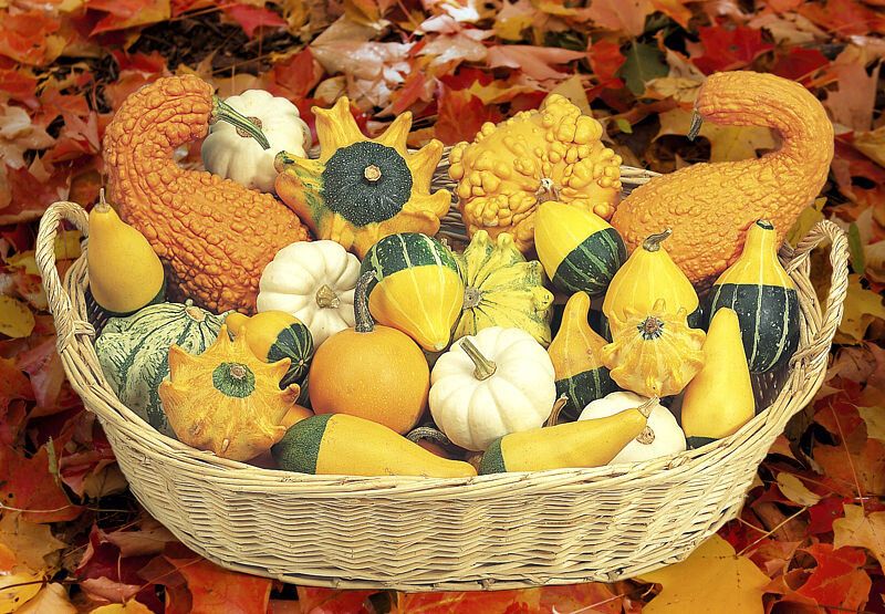 ��������� �����, ������� ����� ����������� ���� ������