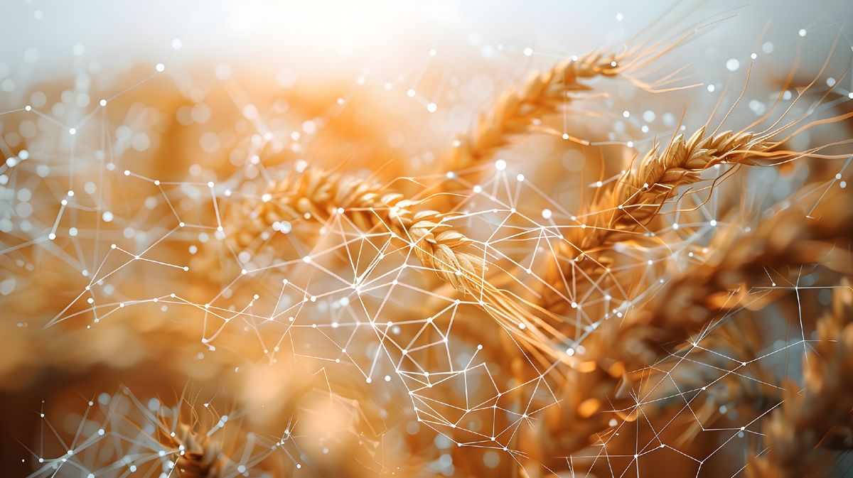 ������ ���� �� �����: ������� ������� �� �������� �����