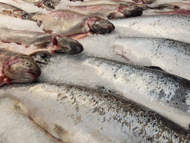 ��������� ������� ������������ ���� � ������ ������