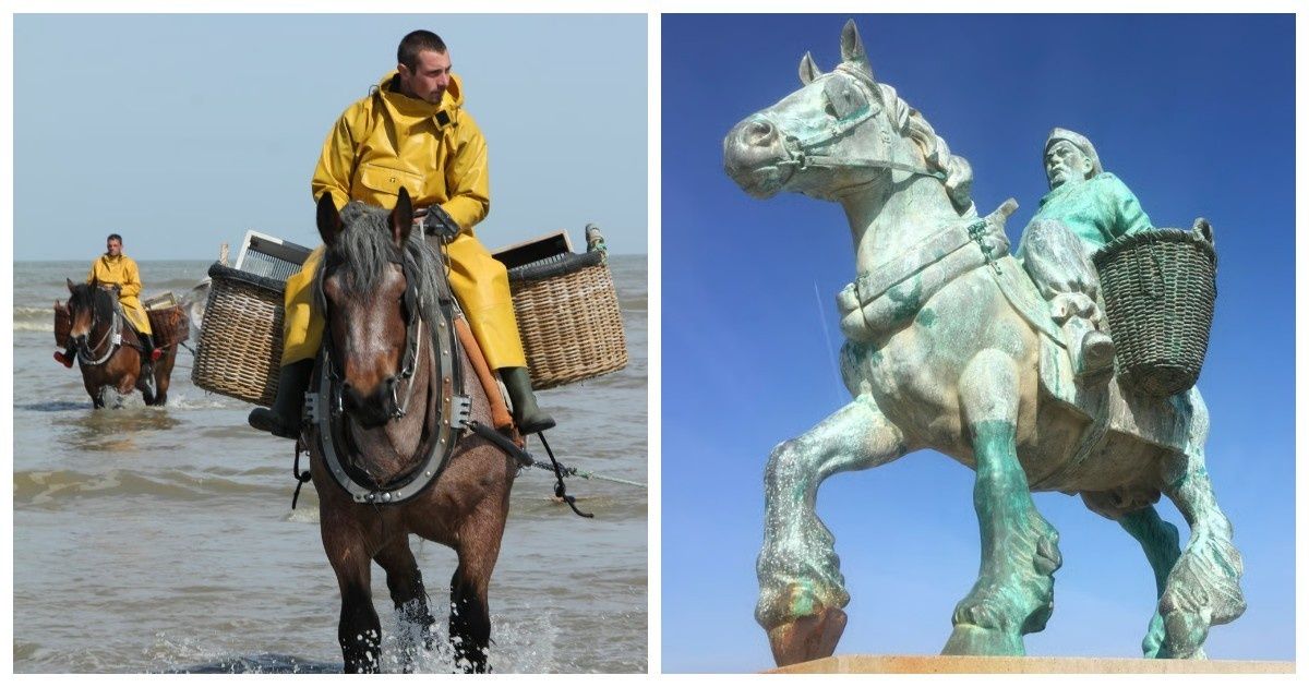 ���������� ��������: ��� �������� �� ������� � ������������