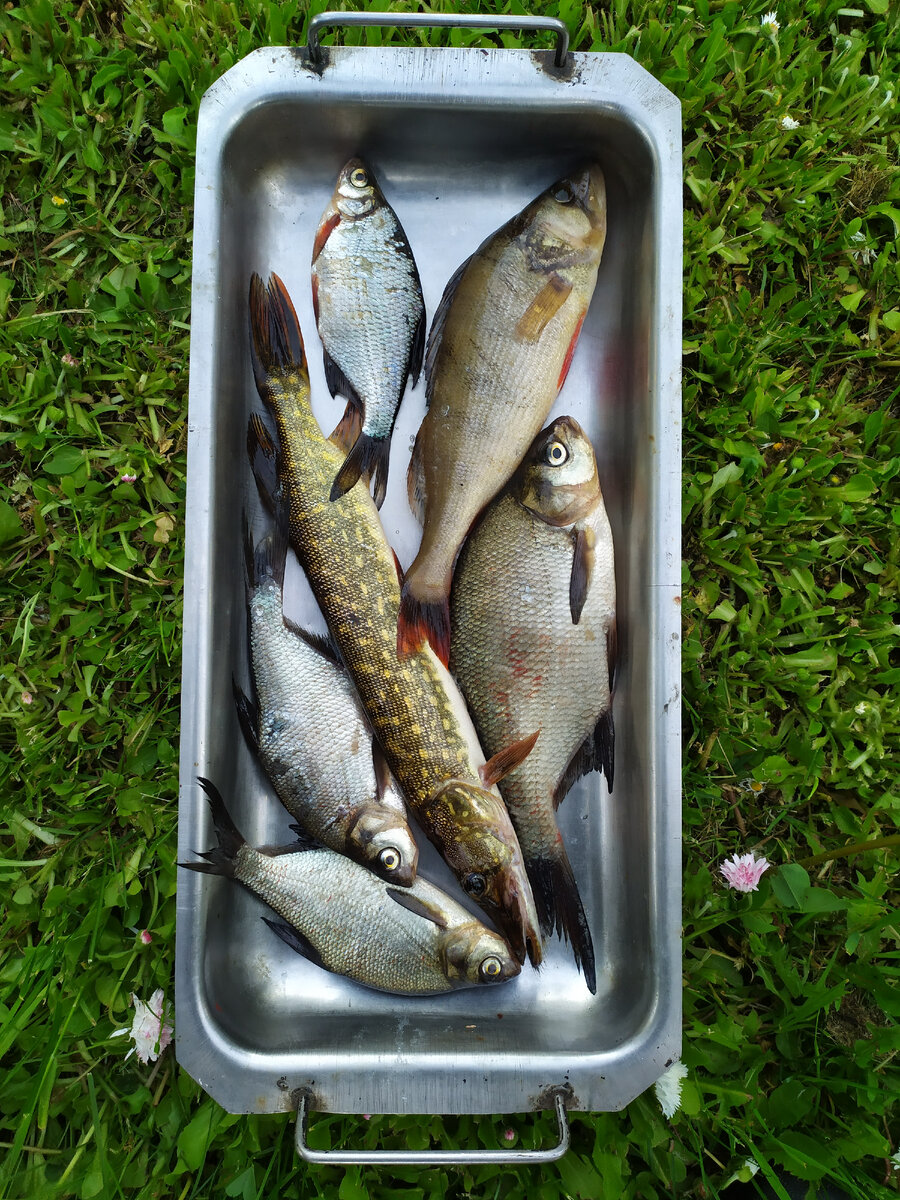 Уха с дымком: секреты приготовления на природе