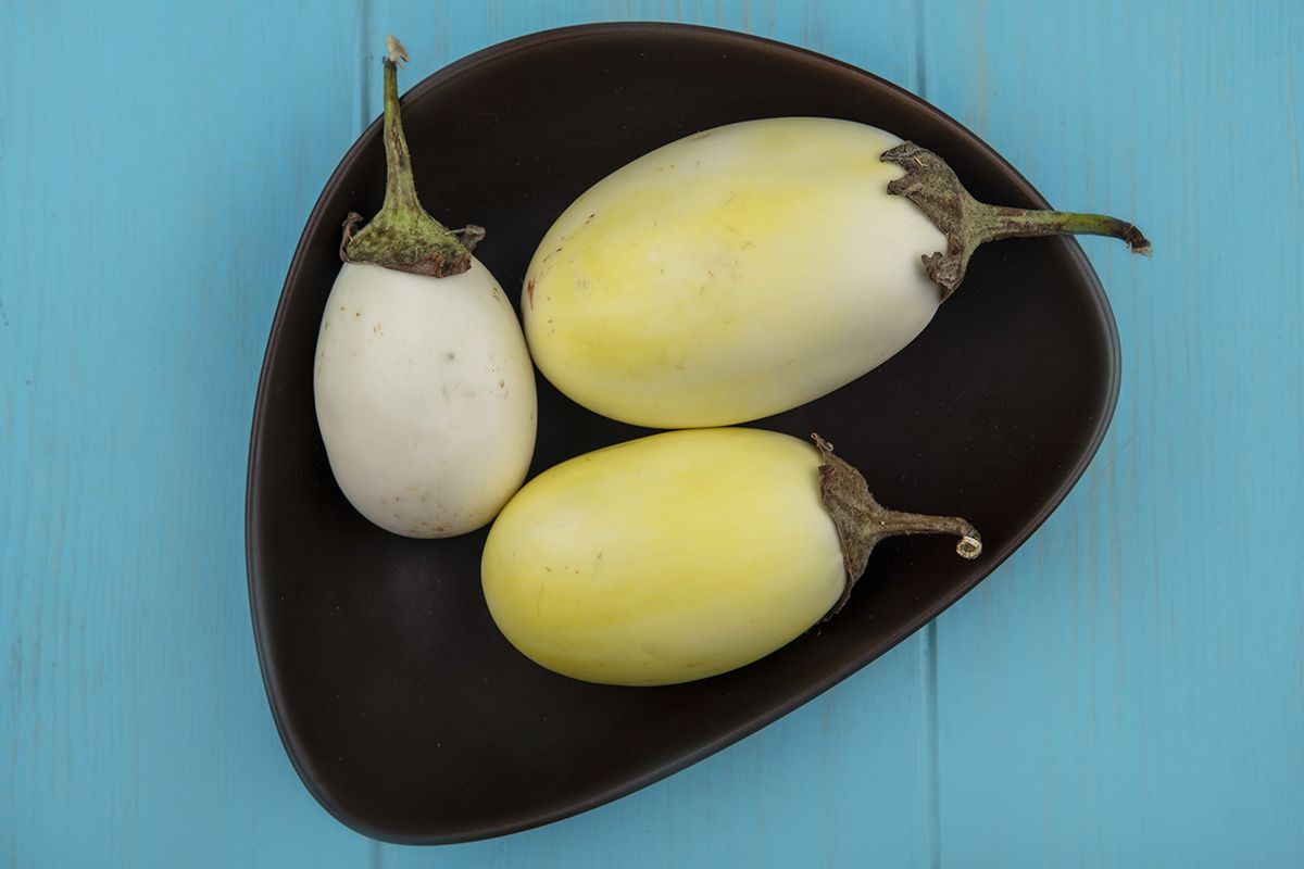 � ������ ������ ��������� ������������ ������: ���� � �����������