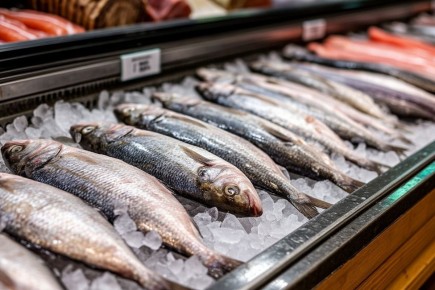 ���� �� ���� ������: ��������� ��������� ������� �����������