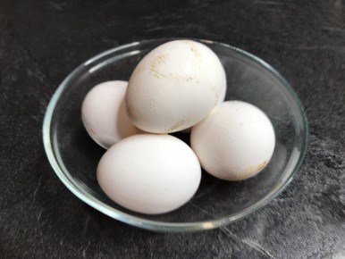 ������ ����� ����������, ������ ��� �������� �������� ����