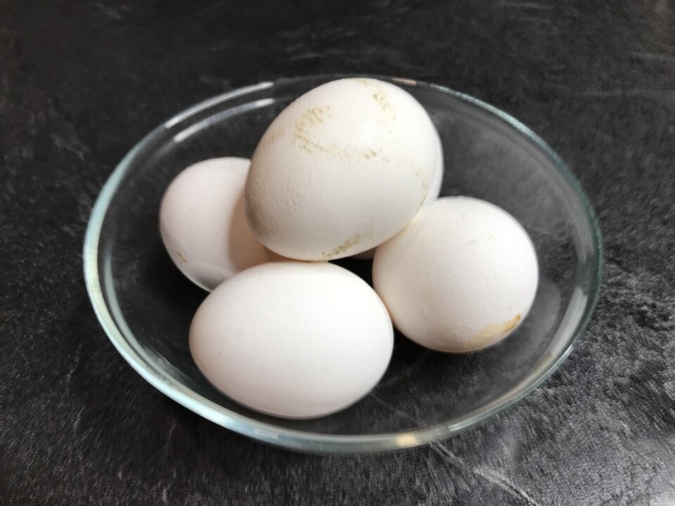 Почему стоит задуматься, прежде чем покупать домашние яйца