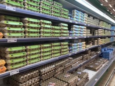 ��� ������� ��������� ���� � ������������: ������� ����������� ������