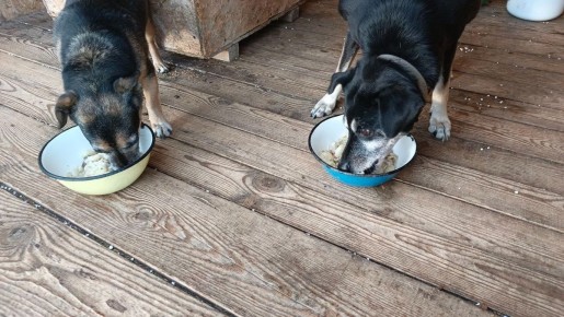 ������� �������� ��������: �������� � �����, ������� �������� ������