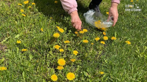 ��� ���������� ������������ � ������ ������ ���: ������� �������������