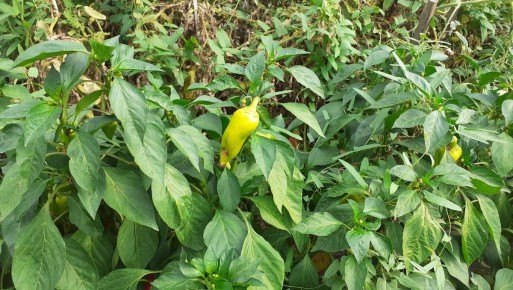 �� ������������ ������� ������: ������� �� ������������� � ���������