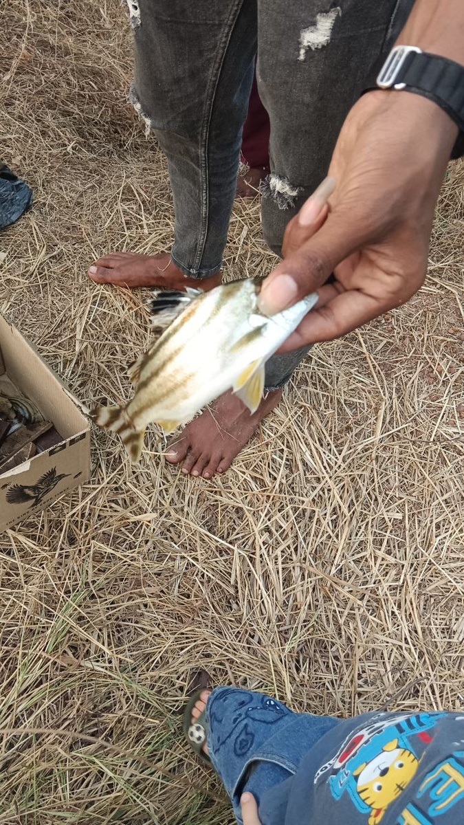 Гоа и речная ловля крабов в Арамболе — спокойный взгляд на простой досуг