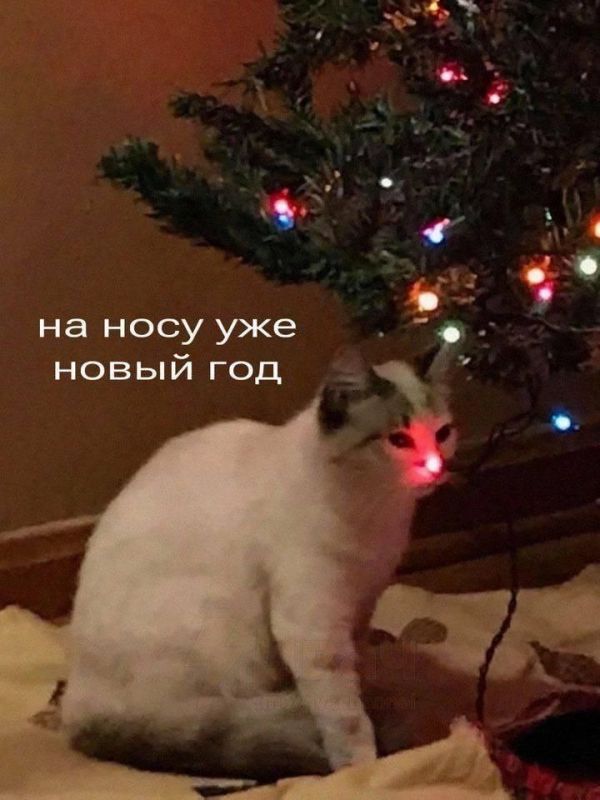 �������� ������� � ������� ����