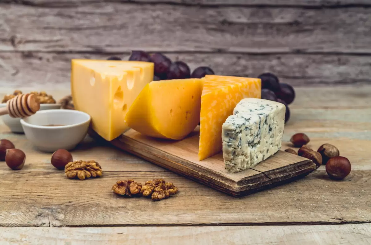 Ключевые элементы сыроделия, о которых стоит знать каждому любителю
