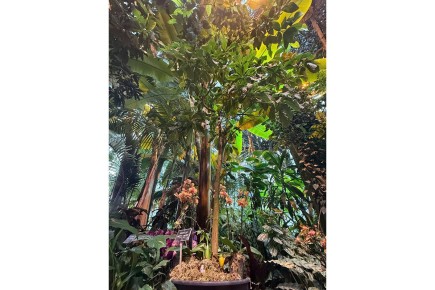 � ������������ ������� �������� �������: ���������� ������� XXI ����